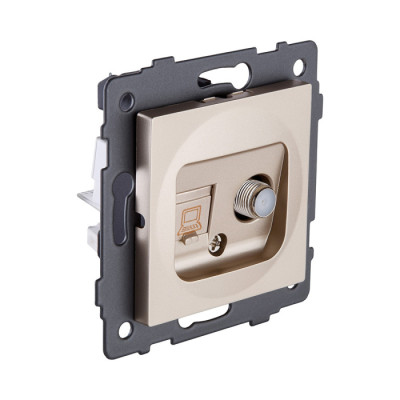 Розетка Aspekt REA-014GD
